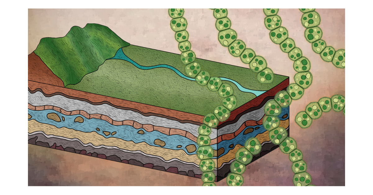 まお　Nano 【27】Bacteria 【0】おまとめ Molecular clock analysis shows bacteria used oxygen long before